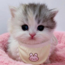 princessofkazakhstan avatar