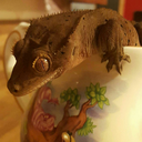 princessophidian avatar