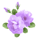 princesssolaria avatar