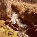 princessxpauper avatar