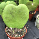 pro-crasti-nati0n avatar