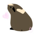 probably-guinea-pigs avatar