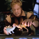 probablyescapingdinosaurs avatar