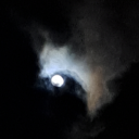 probablynotalinx avatar