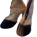 problematicpeniswriting avatar