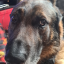 probsstressed avatar