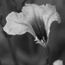 procrastinatedcoffee avatar