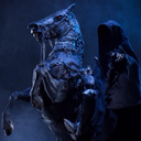 professionalnazgulhorsetrainer avatar