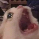 professionalunicorn15 avatar