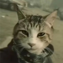 professoractuality avatar