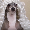 project-look-after-even avatar