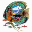 project-piaba avatar