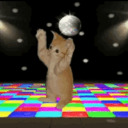 pronounpinbadge avatar