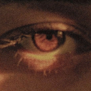 propteradastraperaspera avatar