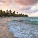 prvncesslessiaax avatar