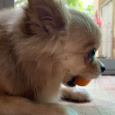 pspaura27-blog avatar