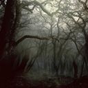 psuedomonarchia avatar