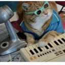 psychedelicblues avatar