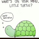 psychic-turtle1 avatar