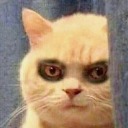 psychotic-kaleidoscope avatar