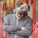 pug-dumpster avatar