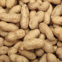 pulsatingpeanut avatar