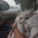 pumpkin-wanderer avatar