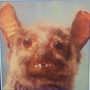 pumpkinspiced-dick avatar