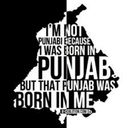 punjabiodiakal avatar