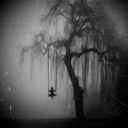 punkrockersince2000 avatar