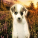 puppiesdoglover avatar