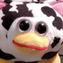 puppy-teethxx avatar