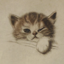 puppystarkittyflower avatar