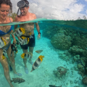 pure-jeunesse avatar