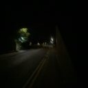 purely-insane avatar