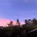 purple-rivers6 avatar