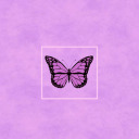 purplebutter-fly avatar