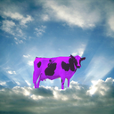 purplecowsinthesky avatar