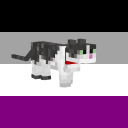 purpled-smp avatar