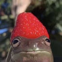 purpleplatypus7 avatar