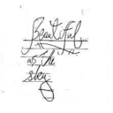 purrfectkitt3n avatar