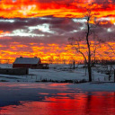 pursuit-of-life avatar