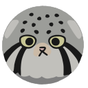 pushistiymanul avatar