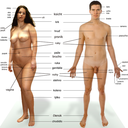 pussyassohdick-blog1 avatar