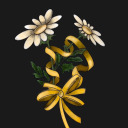 put-me-in-a-field-with-daisies avatar