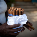 putawayyourharpoon avatar