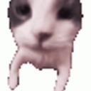 puto-el-que-lo--lea avatar