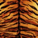 putridumangelum avatar