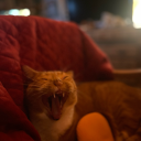 pythe-was-here avatar