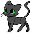 quantums-black-cat avatar